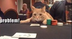 每个打低额注的牌手都会犯的4个烧钱错误